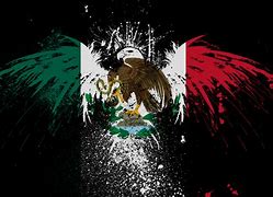 Image result for Mexican Flag Art