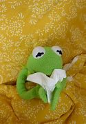 Image result for Kermit in a Blanket Heart Meme