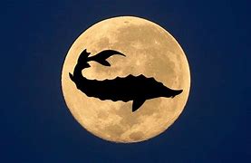 Image result for Sturgeon Moon