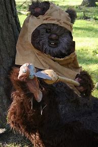 Image result for Wicket the Ewok Disney World