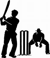 Image result for IPL Cricket