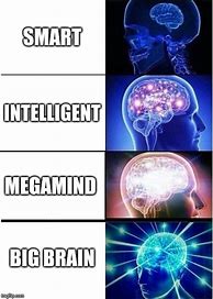 Image result for Smart Brain Meme