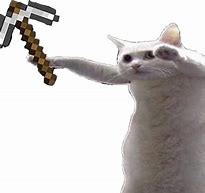 Image result for Minecraft Cat Meme