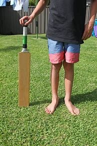 Image result for Backyard Cricket Pic