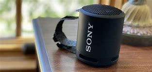 Image result for Sony Bluetoot Speaker Wit a Andle