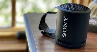 Image result for Sony SR5 Speaker