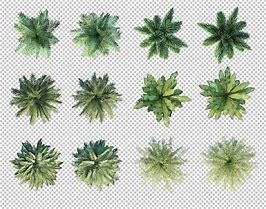 Image result for Palm Tree Top View Pixel