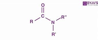 Image result for amide