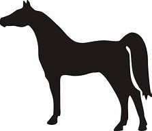 Image result for Arabian Horse Head Clip Art