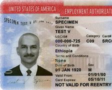 Image result for Us Work Permit Visa