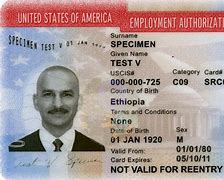 Image result for VALIDUS Work Permit