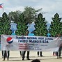 Image result for Tanauan National High School