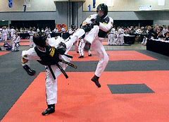 Image result for ATA Taekwondo Sparring Gear