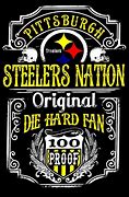 Image result for Funny Steelers Logo