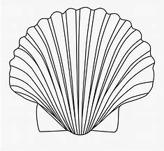 Image result for Black and White Clam Clipart