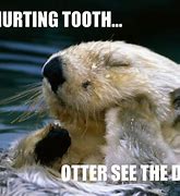 Image result for Otter Jokes