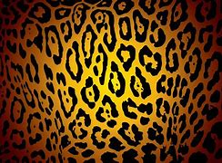 Image result for Cheetah Print Purple Orange