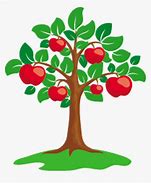 Image result for Star Apple Tree Clip Art