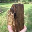 Image result for Petrified Wood Spear Head