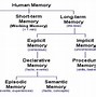 Image result for Echoic Memory