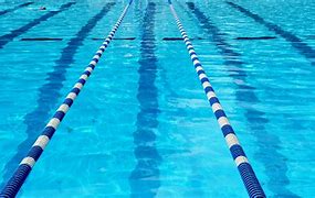 Image result for Olympic Swimming Pool Lanes