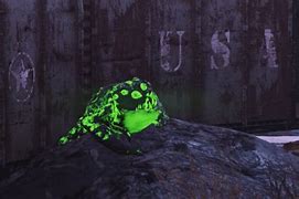Image result for Fallout Glowing One