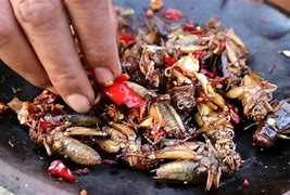 Image result for Cooked Crickets