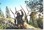 Image result for Elk Horn Lodge