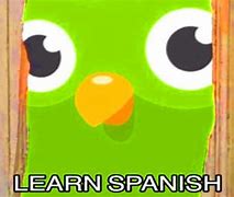 Image result for Duolingo Anime Memes