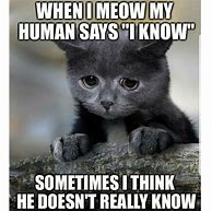 Image result for Photos of Memes