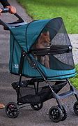 Image result for Double Cat Stroller