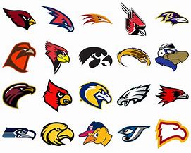 Image result for Sports Team Bird Logo