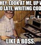 Image result for Like a Boss Meme