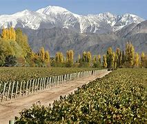Image result for Cheval Andes