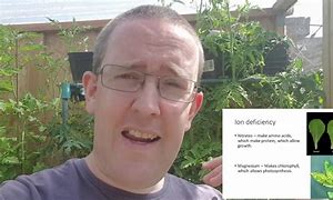 Image result for Plant Disease Identification