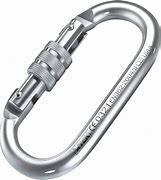 Image result for Rock Climbing Carabiner