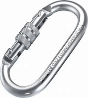 Image result for Large Heavy Duty Carabiner