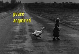 Image result for Peace Corps Meme