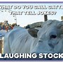 Image result for Barnyard Cow Meme