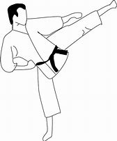 Image result for Martial Arts Kick