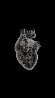 Image result for Skeleton Heart Wallpaper