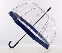 Image result for Clear Umbrella