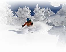 Image result for Ski Powder Alta