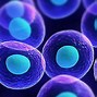 Image result for Colourful Cells