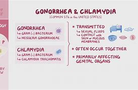 Image result for Gonorrhea and Chlamydia Symptoms