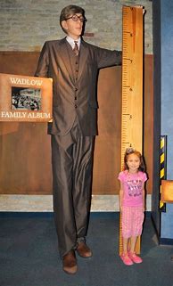 Image result for 9 FT Tall Man