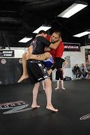 Image result for Jiu Jitsu Fighting Style