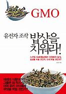 Image result for What Is a GMO