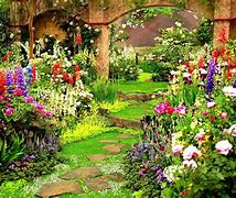 Image result for Flower Garden Phone Wallpapers