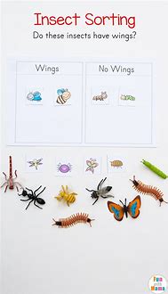 Image result for Bug Preschool Printables